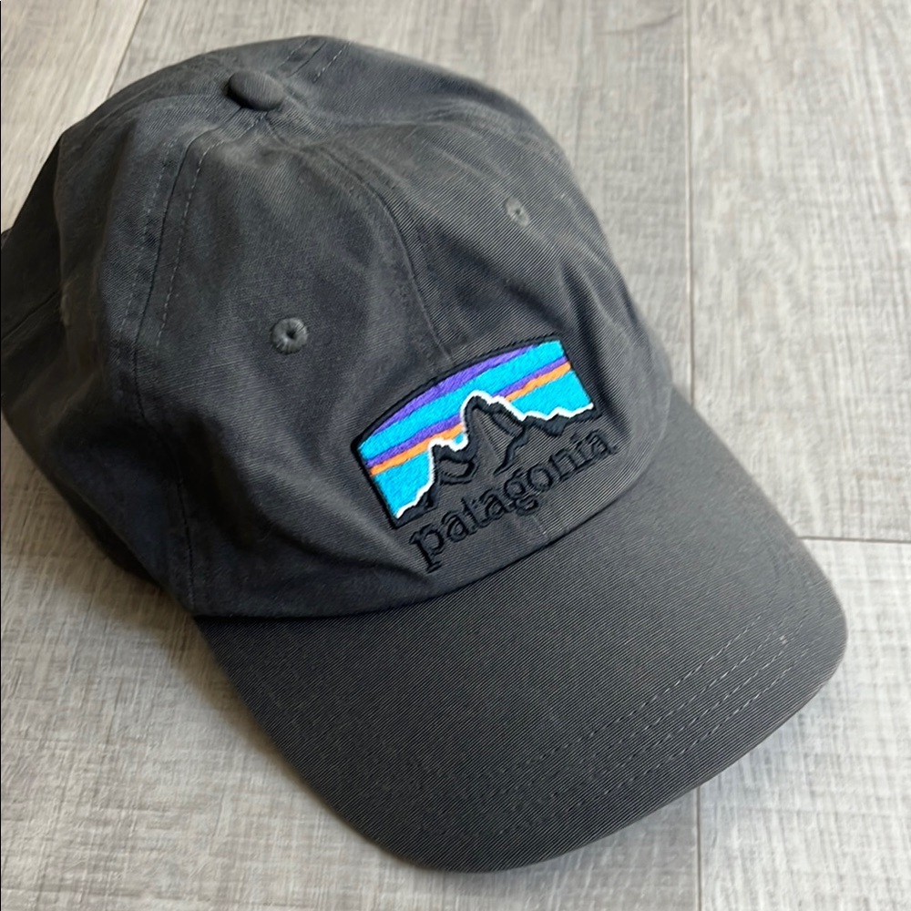 Patagonia Gray Cap